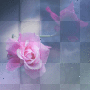 soave background rose pink blue flowers