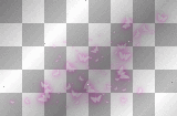 Butterflies Background / Overlay - TracyMcGibbon
