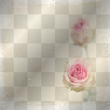 soave background vintage rose pink flowers