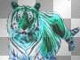 Bengal Tiger-2J, Transparent