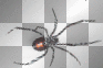 HALLOWEEN GOTHIC SPIDER