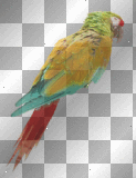 FANTASY BIRD PARROT SUMMER DECORATION