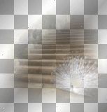 WIDOCZKI  BACKGROUND TRANSPARENT SCENE  