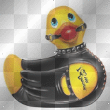 SM-Duck