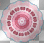  Circle mandala blauefee1976 Deco Anime Background pink white blue turquoise