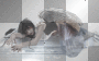 Valeriane007