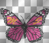 M J Butterfly!!!LW