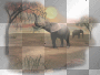 tiere ludmilla1959