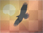 eagle red sun sky // emme.