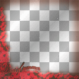 Days of Summer ' text frame red flowers 