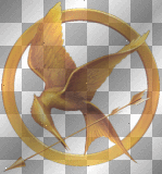 the hunger games pin