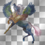 Howrse fantasy rainbow GA Pegasus