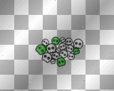 Green.White.Emo.Scene.Queen.Skulls.Font.Deco.Background {miire._.heavygurl}♥