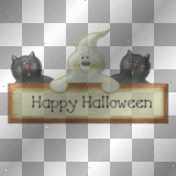 TEXT HAPPY HALLOWEEN BOO CAT