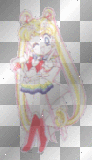 the sailor scouts