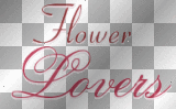 flower lovers blauefee1976 text  red pink 