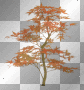 Tree - TracyMcGibbon