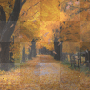 Herbst Kirschi173