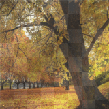 autumn landscape background14