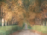 Autumn Lane