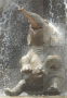 happy asian elephant