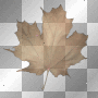 Animated Brown Fall Leaf_