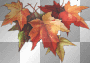 deco transparent autumn a4l