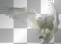 GOTHIC WINTER FANTASY BIRD OWL WHITE SNOWY-OWL