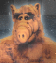 alf