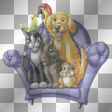 ANIMAUX DE COMPAGNIE