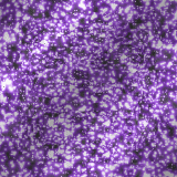FANTASY GLITTER LIGHT BACKGROUND ANIMATED PURPLE