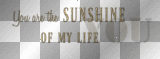 soave text you are sushine of my life gold