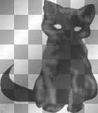 Halloween Black Cat