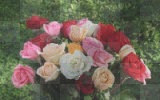 Variedad de flores       ( Variety of flowers)