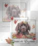 Autumn canine Michelle Doc sweet