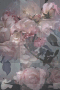 fondo transparente rosa
