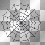 BLACK SPIDER WEB
