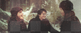Gif Harry Potter Gif Harry Potter