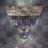 ωιℓ∂ {By ★Katedu95☆}