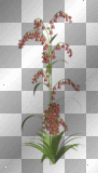  FANTASY FLOWERS BELL RED