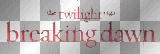TWILIGHT BREAKING DAWN TEXT GLITTER RED