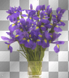 fleur violette