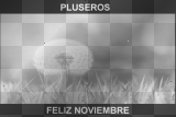 Diente de leon