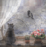 winter cat