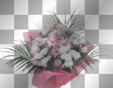 Fiori per te 