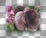 soave flowers rose pink vintage
