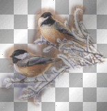 winterbirds,tl