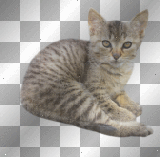 VINTAGE FANTASY CAT