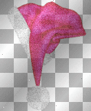 Animated Pink Santa Hat