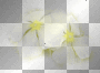 flor amarillo   ©zαηєѕѕα155ⓡ